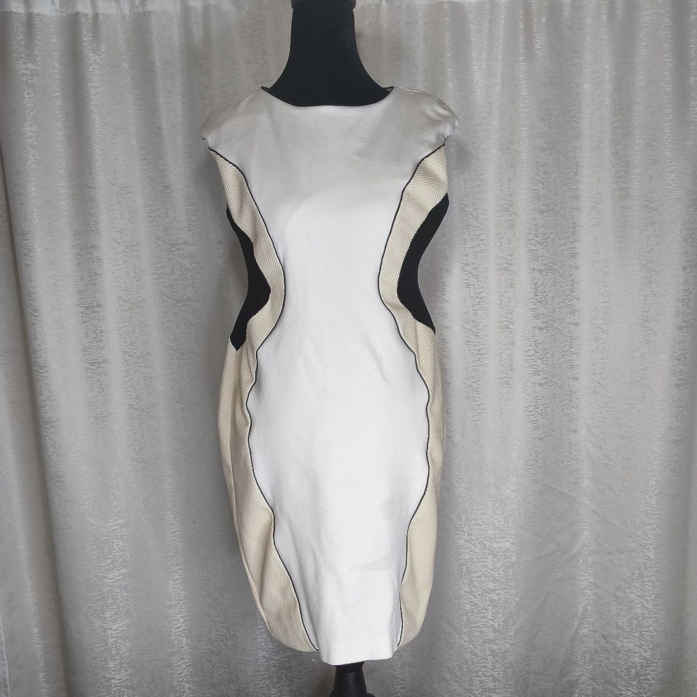 Ann Taylor Women's Colorblock Sheath Dress Cream Black Ivory Bodycon Size 4P